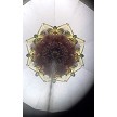 Vintage Polyangular Tripod Kaleidoscope by Jerry Beall 