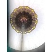 Vintage Polyangular Tripod Kaleidoscope by Jerry Beall 