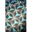 Peacock Kaleidoscope by Barbara Spikes 
